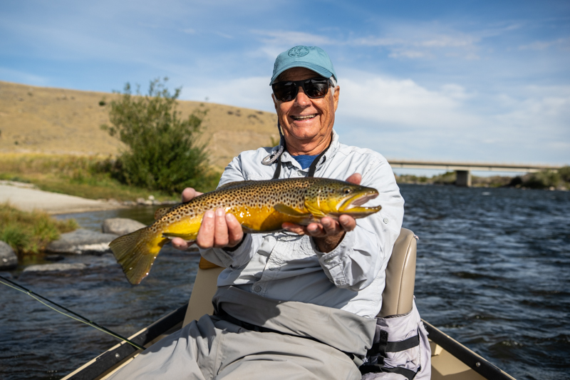 September brown trout